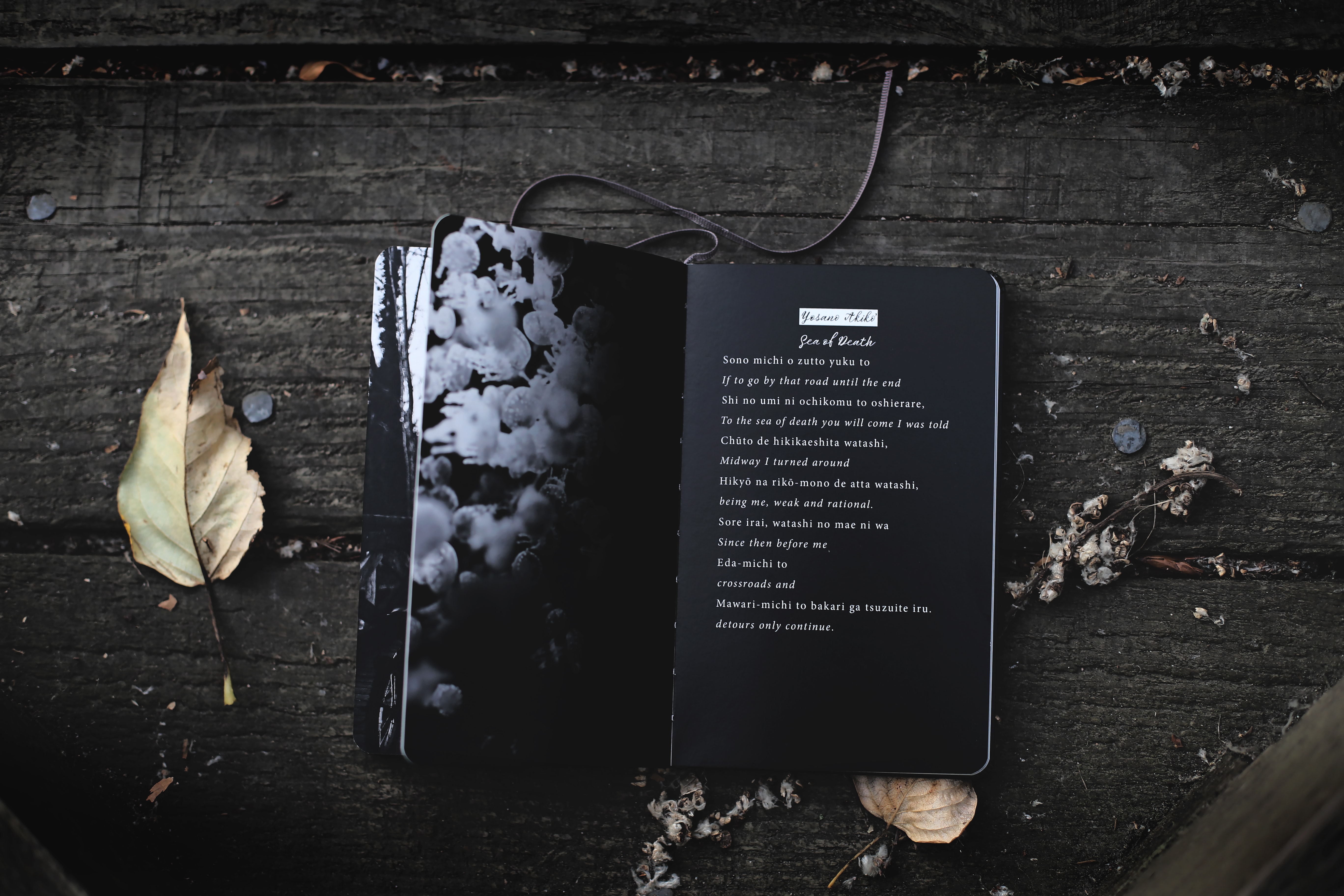 Poetry Musings